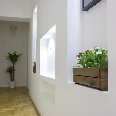 Canton Del Gallo Guest house *
