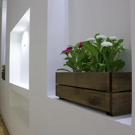 게스트하우스 Canton Del Gallo